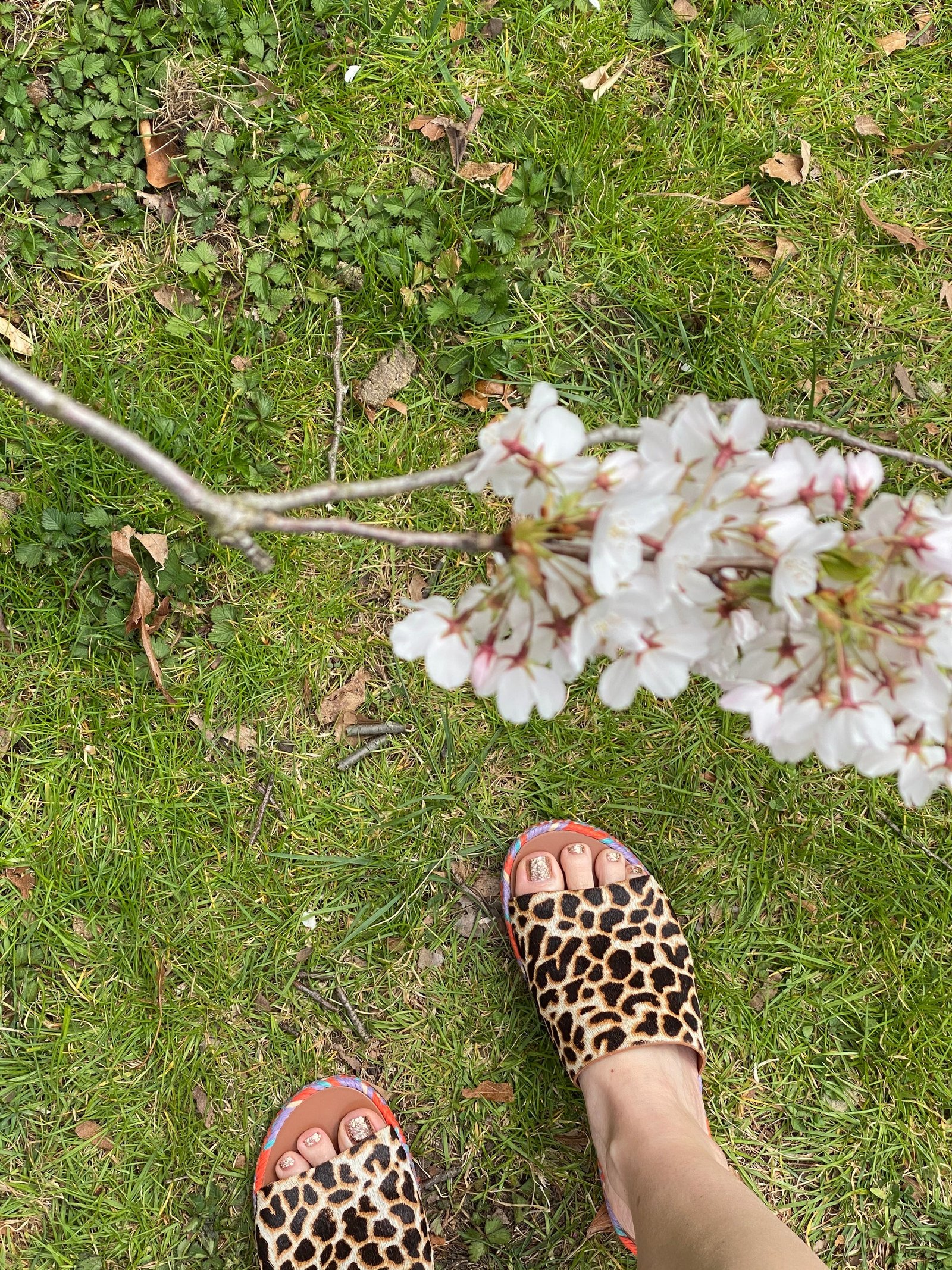Open image in slideshow, Daisy Sandal Leopard Haircalf
